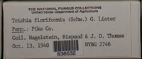 Image Associated With the Occurence